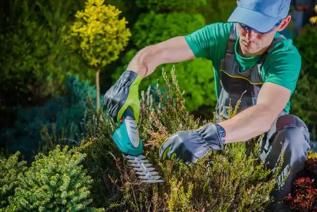 landscaping services Palmer